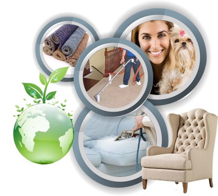 carpet, upholstery and rug cleaning